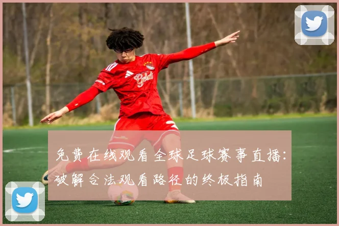免费在线观看全球足球赛事直播：破解合法观看路径的终极指南